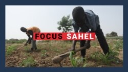 Focus Sahel : initiative pour soutenir les déplacés à Benue au Nigeria