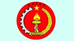 በኢህአዴግ መግለጫ ላይ የፖለቲካ ተንታኞቹች አስተያየት