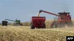 Аграрії критикують плани влади монополізувати експорт сільгосппродукції