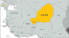 Niger Hosts US-Organized Exercises to Boost African Security