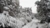 16x9 Image