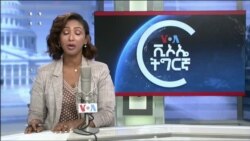 ፈነወ ትግርኛ 1900