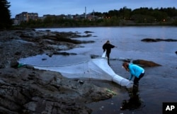 FILE - Licensed eel fishermen Julie Keene and Jessica Card work on the banks of the Penobscot River after setting a net in Brewer, Maine, May 25, 2017.