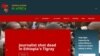 A screenshot of the African Union's newly-launched website to track threats to African journalists. (Courtesy AU)