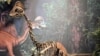 Oviraptorosaur (Courtesy of the Carnegie Museum of Natural History)