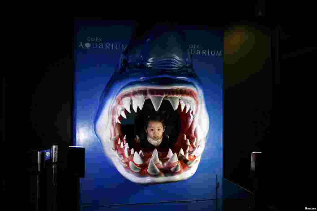 A girl poses for photographs inside a shark-shaped sculpture at an aquarium in Seoul, South Korea.