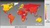 贪官、贼、婚外情，中国特色腐败透视镜