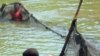 This Malawi fish farmer uses his pond waste water to irrigate his maize crop and boost his income.