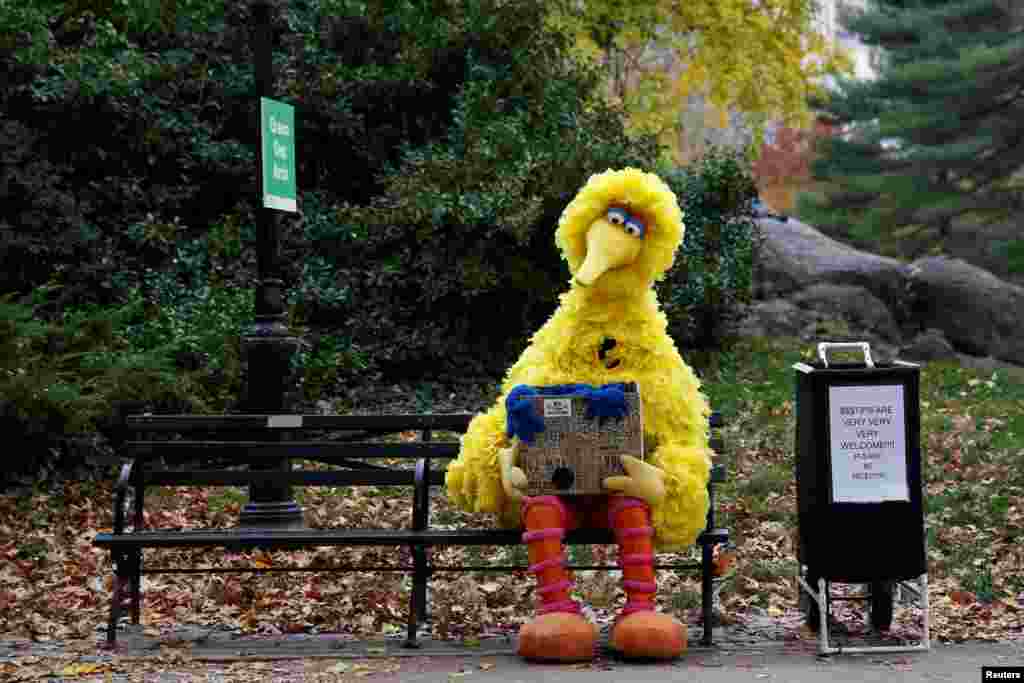 Seorang pria memakai kostum karakter dalam &#39;Sesame Street&#39; menunggu pengunjung Central Park di New York untuk meminta foto bersama.