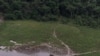 Une clairière dans la forêt tropicale de la réserve de Lope, au Gabon, 4 juillet 2001