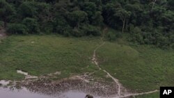 Une clairière dans la forêt tropicale de la réserve de Lope, au Gabon, 4 juillet 2001