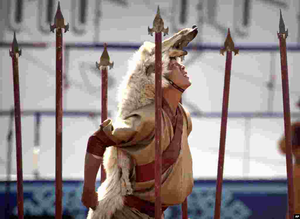 Seorang warga Mongolia dengan mengenakan kulit serigala tampil dalam festival tradisional Naadam memperingati kejayaan Genghis Khan di Ulaanbaatar, Mongolia.