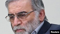 محسن فخری‌زاده