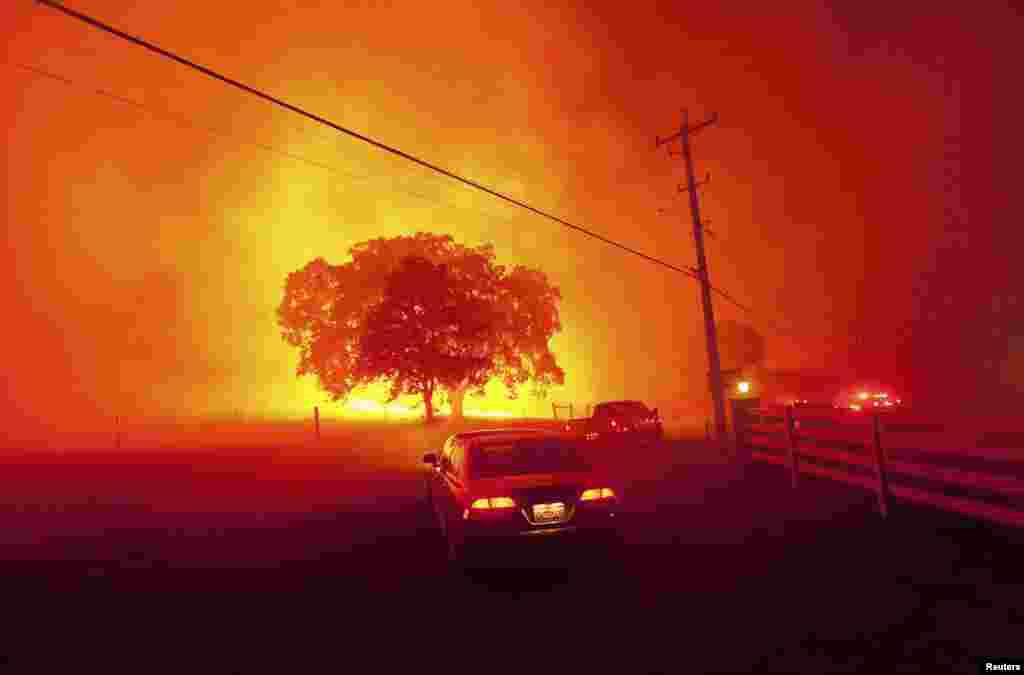 Residents flee as winds whip flames from the Morgan fire along Morgan Territory Road near Clayton, California, USA, in unincorporated Contra Costa County, Sept. 9, 2013. 