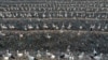 9 Percent of Plastic Worldwide is Recycled, OECD Says 