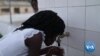 World Water Day 2019: Leaving No One Behind