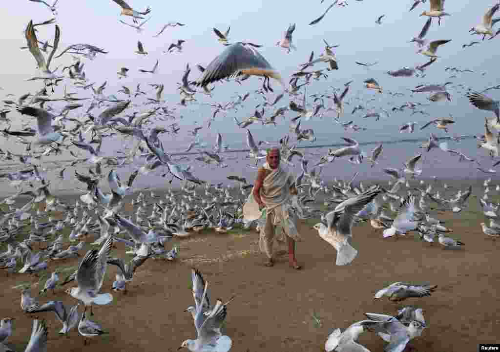 A man feeds seagulls on a beach along the Arabian Sea in Mumbai, India.