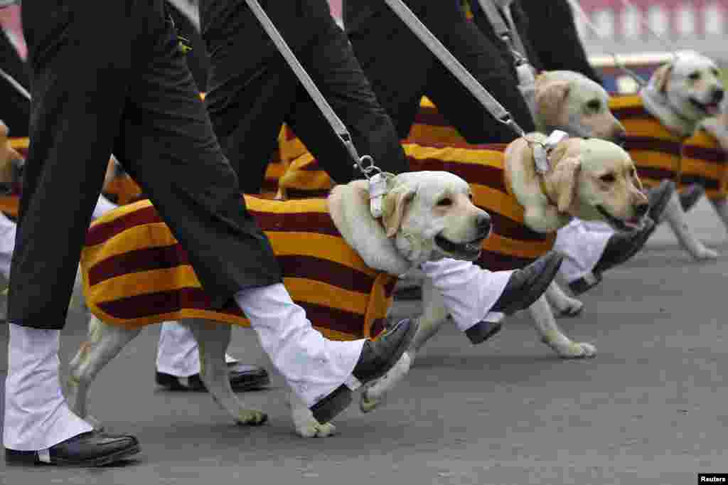 Soldiers march beside their dogs during India&#39;s Army Day parade in New Delhi. India celebrated the 68th anniversary of the formation of its national army with soldiers from various regiments, and artillery on display.