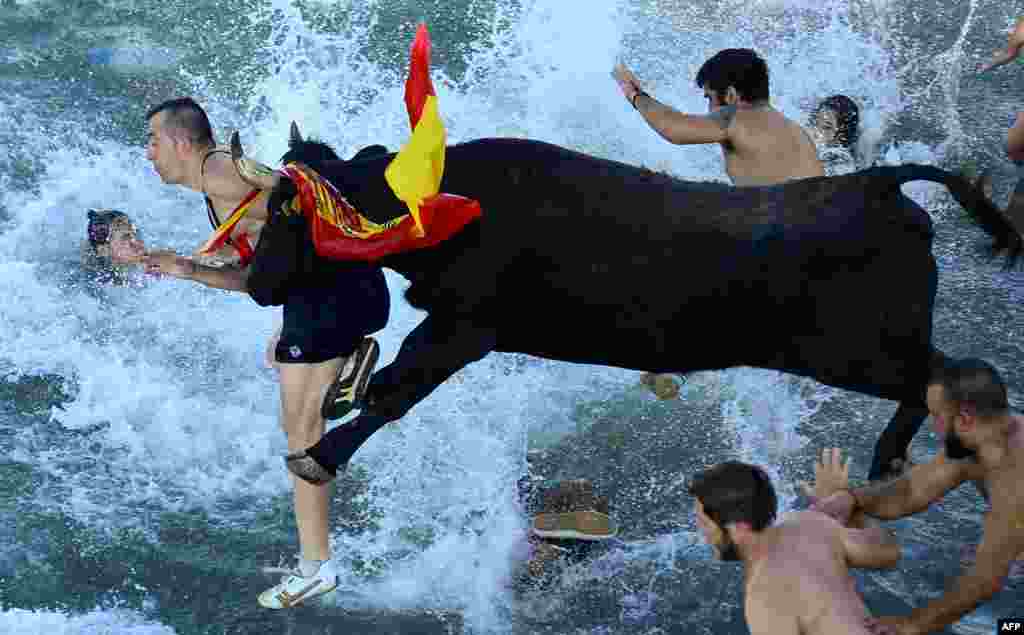 Para penonton melompat ke laut dalam festival tradisional &#39;lari dikejar banteng&#39; di pelabuhan Denia dekat kota Alicante, Spanyol.