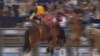 Houston Rodeo Seeks to Minimize Injuries in Dangerous Sport