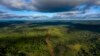 Vue aérienne de la route Transamazonica près de Medicilandia dans l'État de Para au Brésil, le 13 mars 2019.