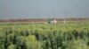 After Drought, California Looks to Replenish Aquifers