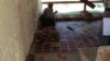 A Syrian refugee in his makeshift home in Lebanon's Beka'a Valley, Sept. 2, 2013. (Heather Murdock for VOA) 