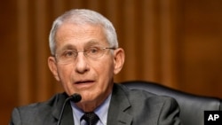 FILE - Dr. Anthony Fauci, director of the National Institute of Allergy and Infectious Diseases, speaks during a Senate Health, Education, Labor and Pensions Committee, May 11, 2021. (Greg Nash/Pool via AP)