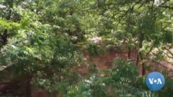 International Aid Cuts to Affect Millions Across Africa 