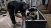 India Worried About Declining Foreign Investment