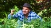 Explorer Tristan Gooley says with no compass, no map you can still find your way home using nature's tools: the sun, wind, and trees. (Credit - www.naturalnavigator.com)